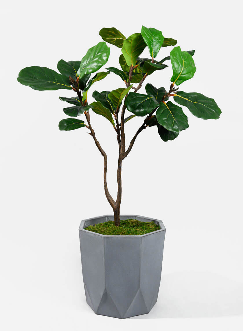 14in Tall Buffed Clay Campo Pot Decor Jamali-garden