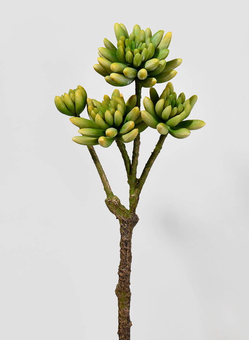 15in Long Finger Succulent Pick Decor Jamali-garden