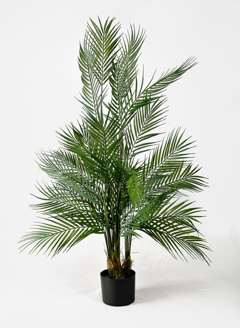 45in Tall Hawaii Kwai Palm Tree Decor Jamali-garden