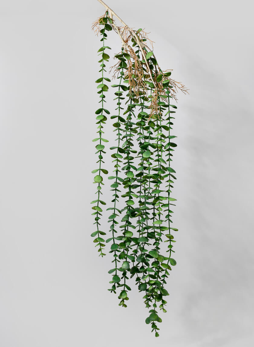 39in Long Mini Eucalyptus Hanging Decor Jamali-garden