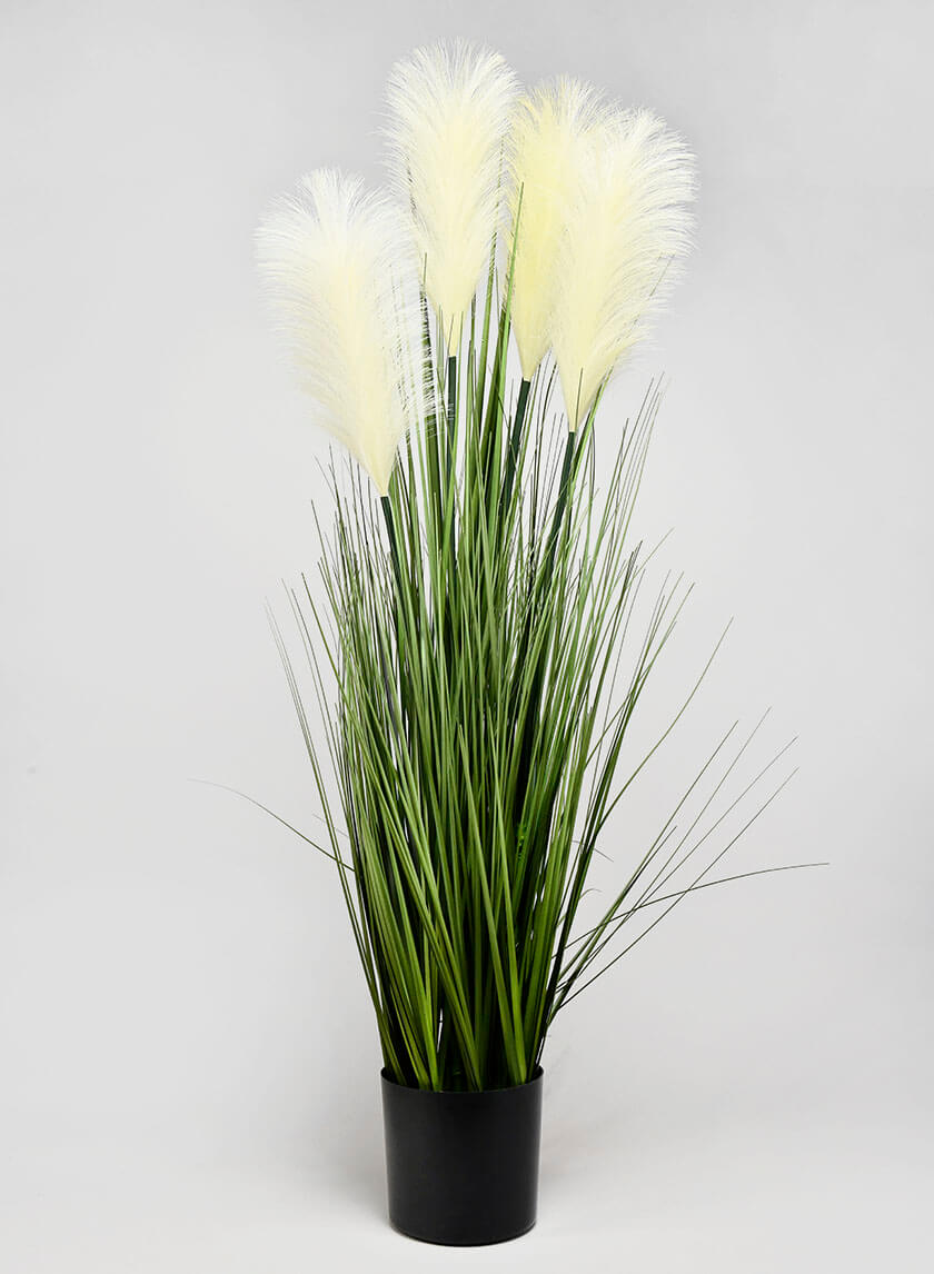 36in Tall Onion Grass Decor Jamali-garden