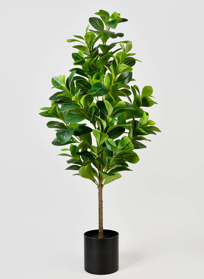 43in Tall Pepper Elder Plant Decor Jamali-garden