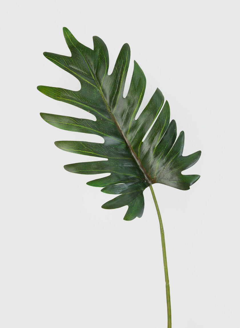 19in Long Philodendron Leaf Decor Jamali-garden