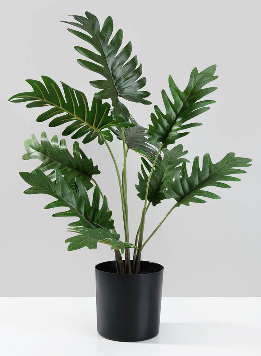 17in Tall Potted Philodendron Decor Jamali-garden