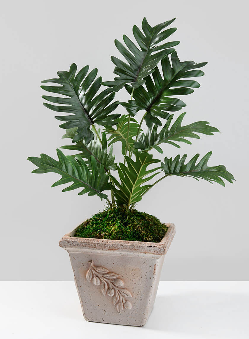 17in Tall Potted Philodendron Decor Jamali-garden