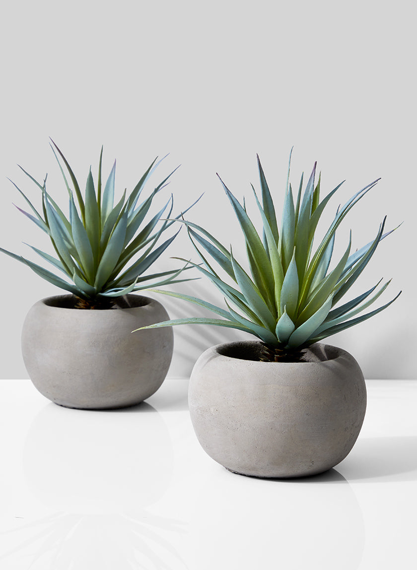 8in Tall Sword Grass In Grey Cement Pot, Set of 2 Decor Jamali-garden