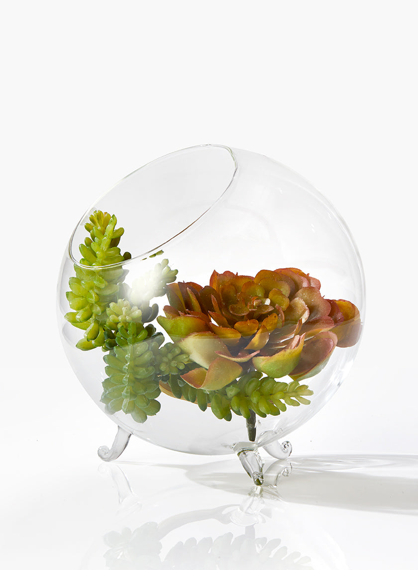 6in Wide Greenhouse Glass Bowl Decor Jamali-garden