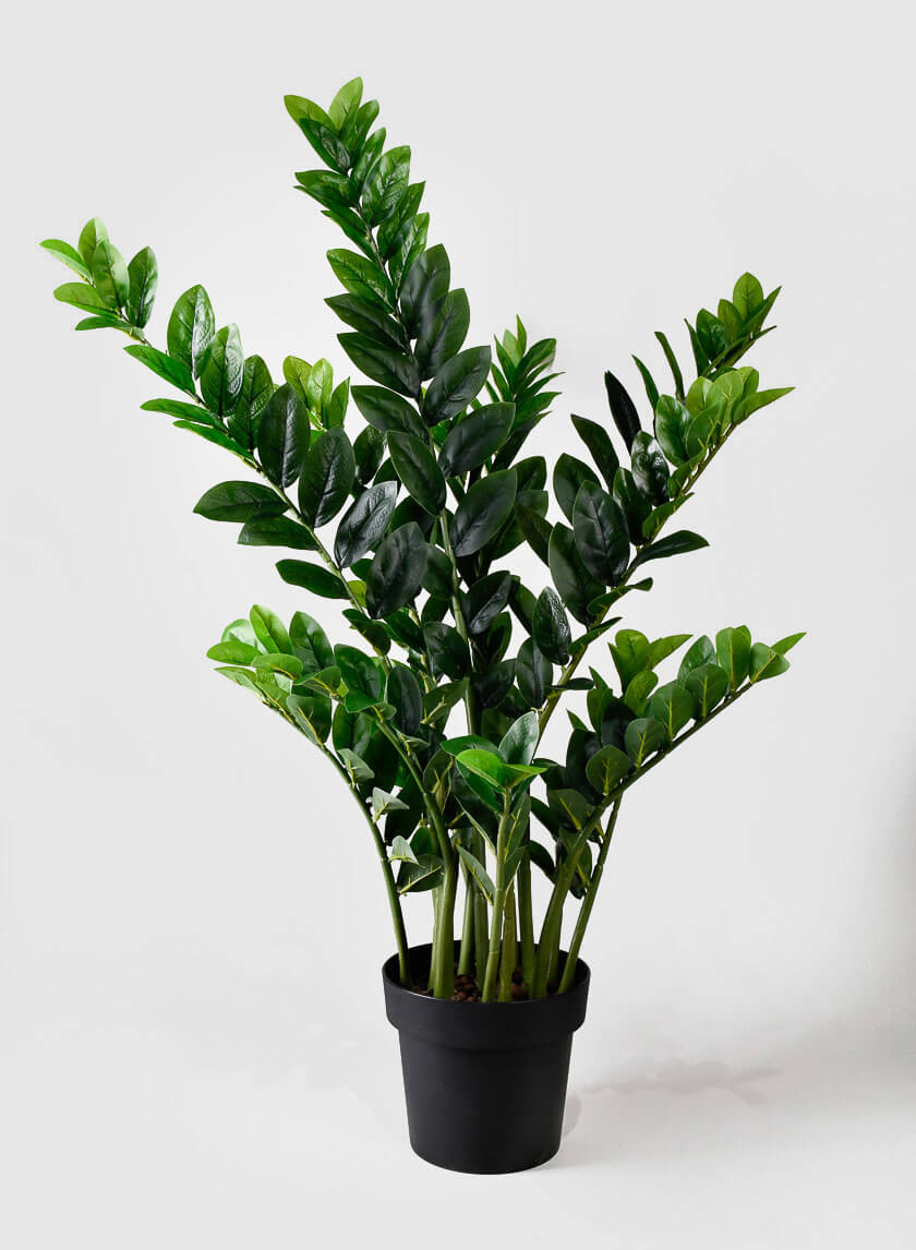 42in Tall Zanzibar Plant Decor Jamali-garden