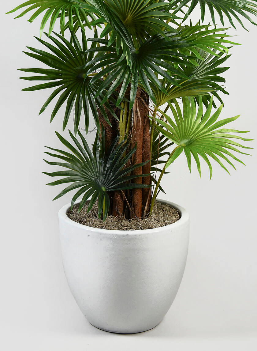 Bright White Egg Pot Decor Jamali-garden