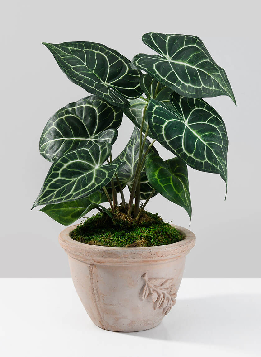15in Tall Potted Anthurium Plant Decor Jamali-garden