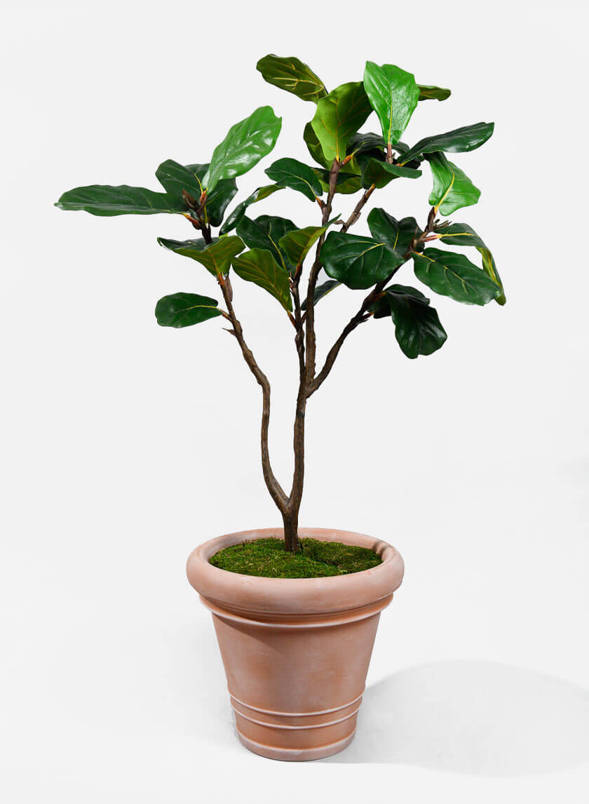 Impruneta Rolled Rim Planter Decor Jamali-garden