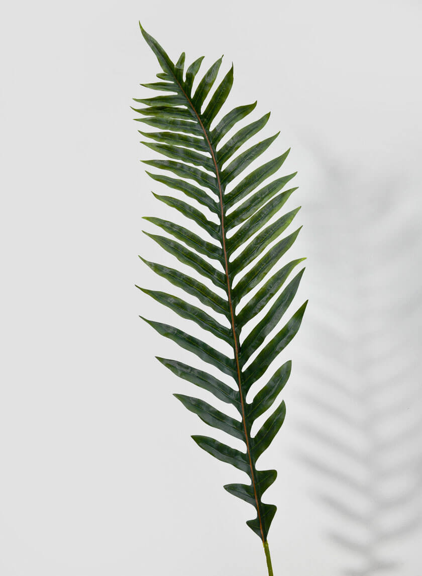 56in Long Fishtail Fern Leaf Decor Jamali-garden