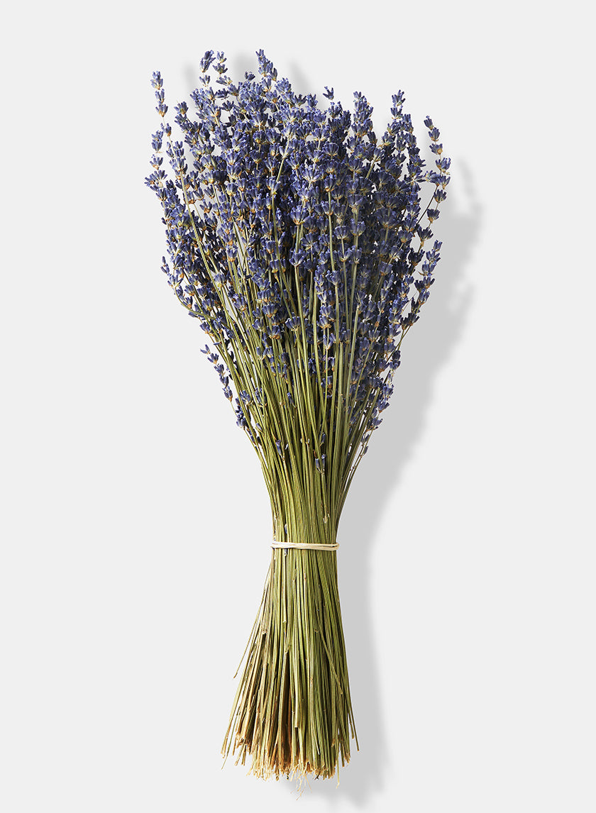 15in Long Super Blue French Lavender Bunch Decor Jamali-garden