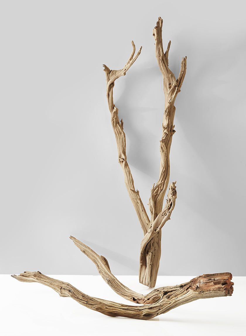 Sanded Ghostwood Branch Decor Jamali-garden