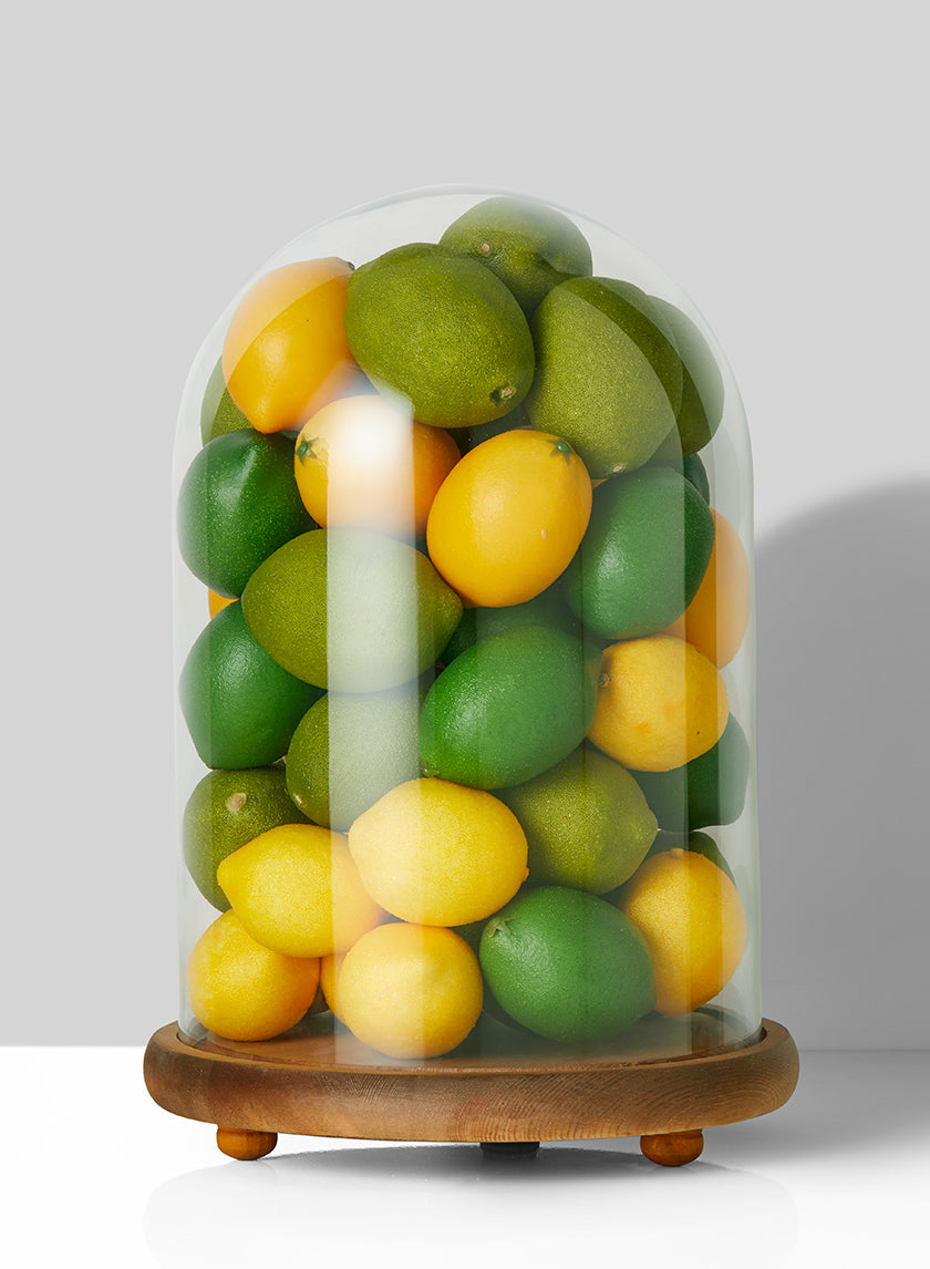 15in Tall Glass Cloche On Wood Base Decor Jamali-garden