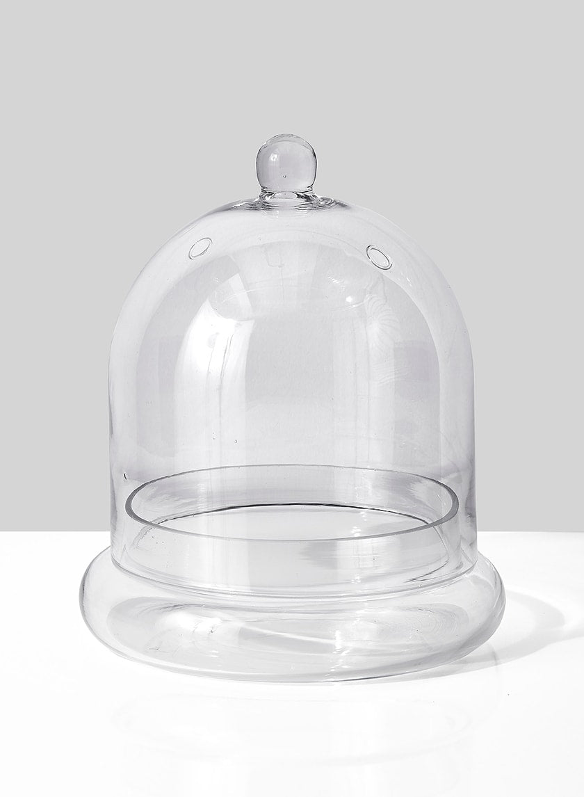 9.5in Tall Glass Terrarium Decor Jamali-garden