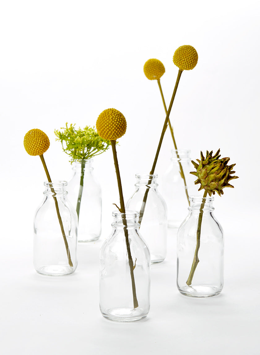 4in Tall Clear Glass Milk Bottle Vase, Mini Decor Jamali-garden
