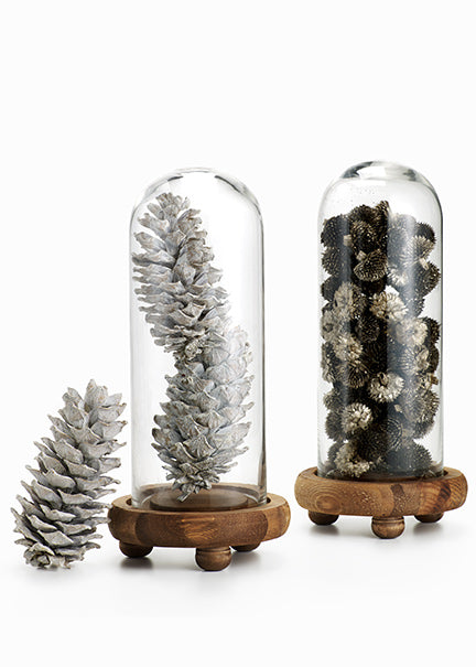 5in / 5.5in Long White-Washed Pinecones Decor Jamali-garden