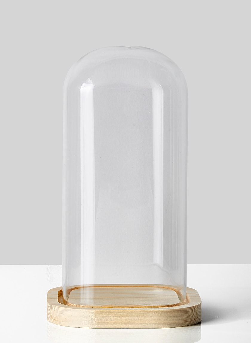 10in Tall Square Glass Cloche With A Wood Base Decor Jamali-garden