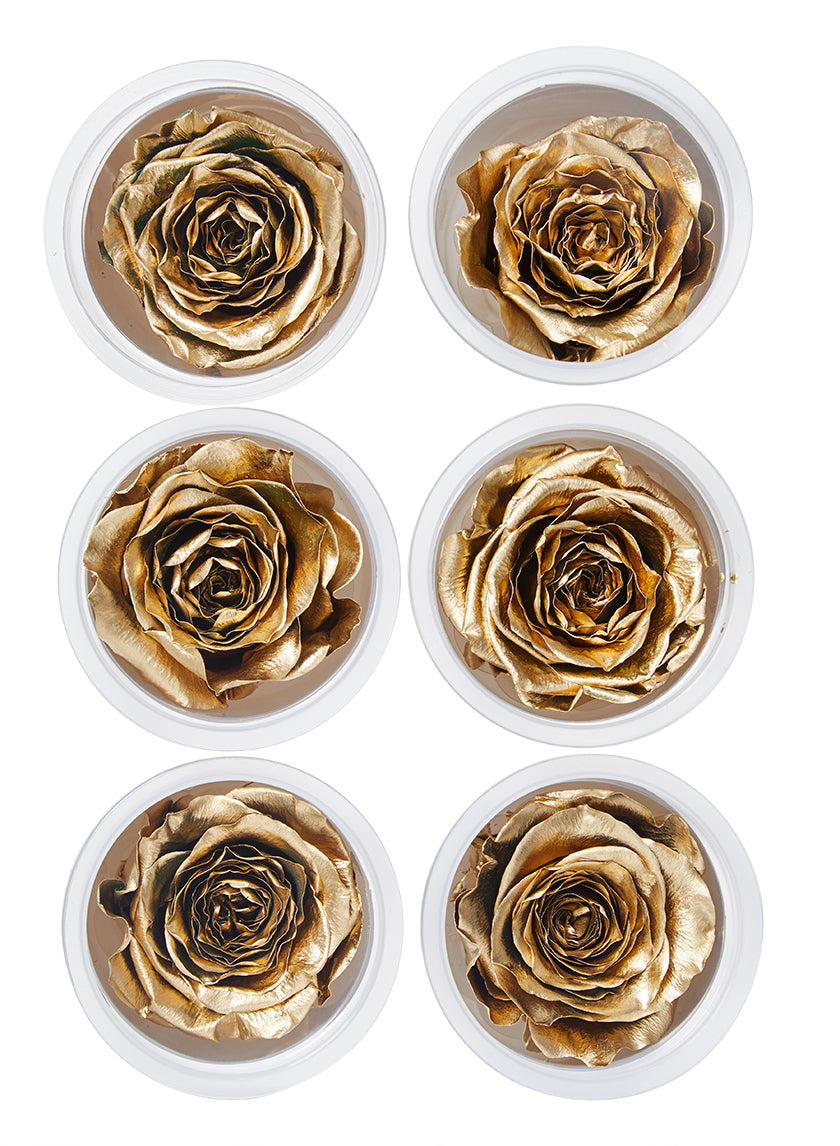 Preserved Gold Roses, Set of 6 Decor Jamali-garden
