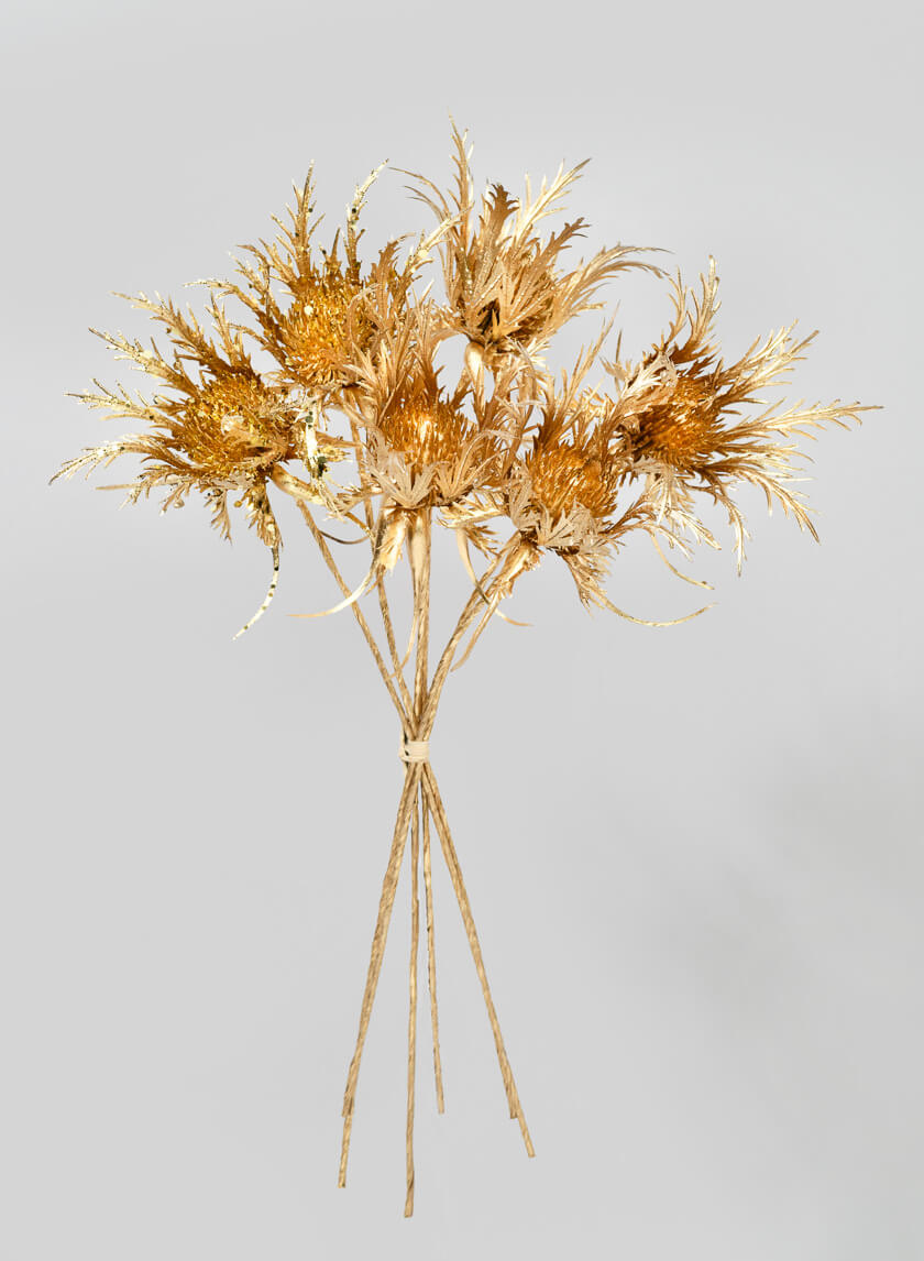 12in Long Gold Thistle Picks Decor Jamali-garden