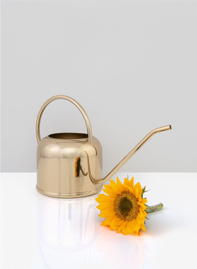 9.25in Wide Le Mans Gold Watering Can Decor Jamali-garden