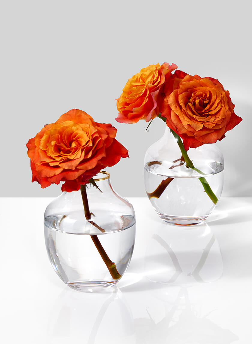 5in Tall Gold Rim Belly Glass Vase, Small Mouth Decor Jamali-garden