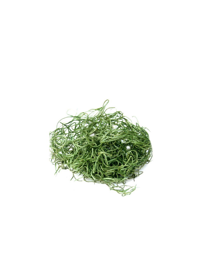Super Moss Grass Green Preserved Spanish Moss Decor Jamali-garden