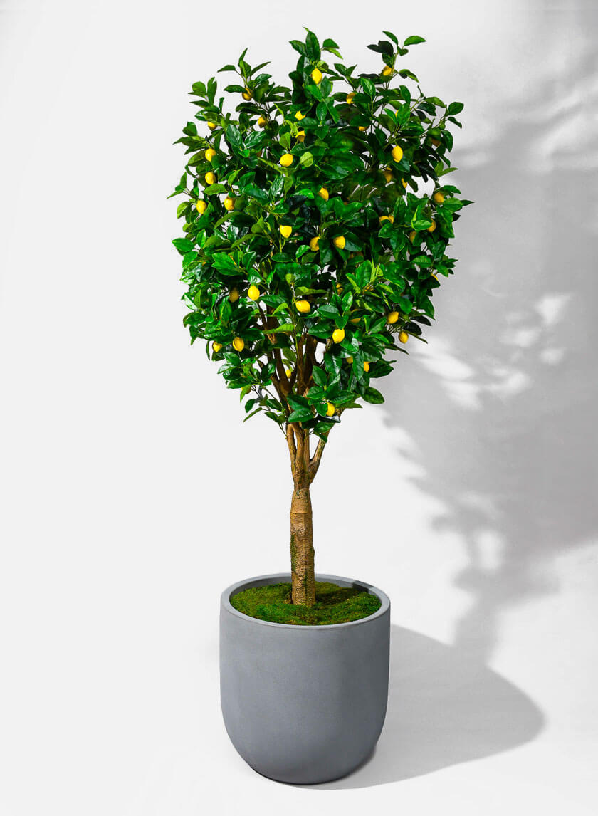 20.75in Tall Uovo Light Gray Planter Decor Jamali-garden