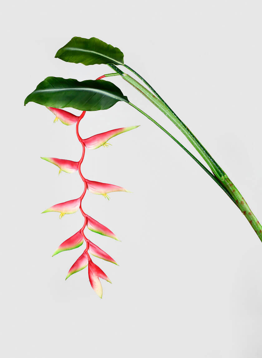 57in Long Hanging Heliconia Stem Decor Jamali-garden