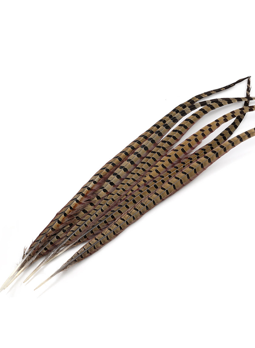 24-26in Natural Ringneck Pheasant Tail Decor Jamali-garden