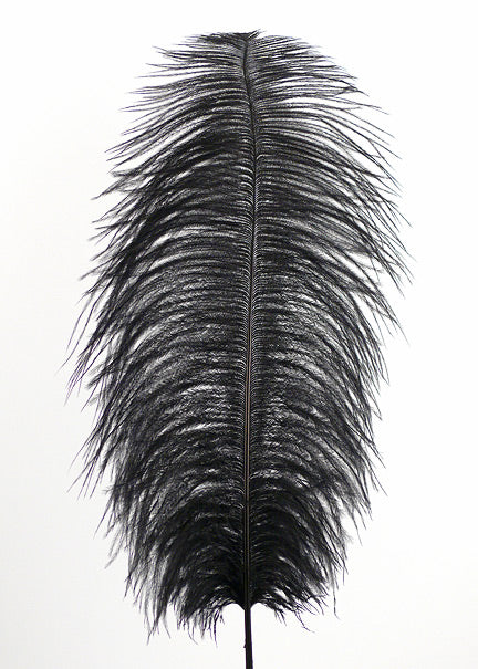 18 - 20in Black Ostrich Feather Decor Jamali-garden