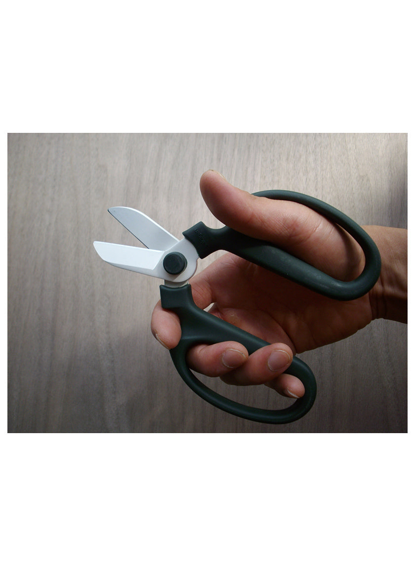 Sky Blue Sakagen The Florist Scissors, Right-Hand Decor Jamali-garden