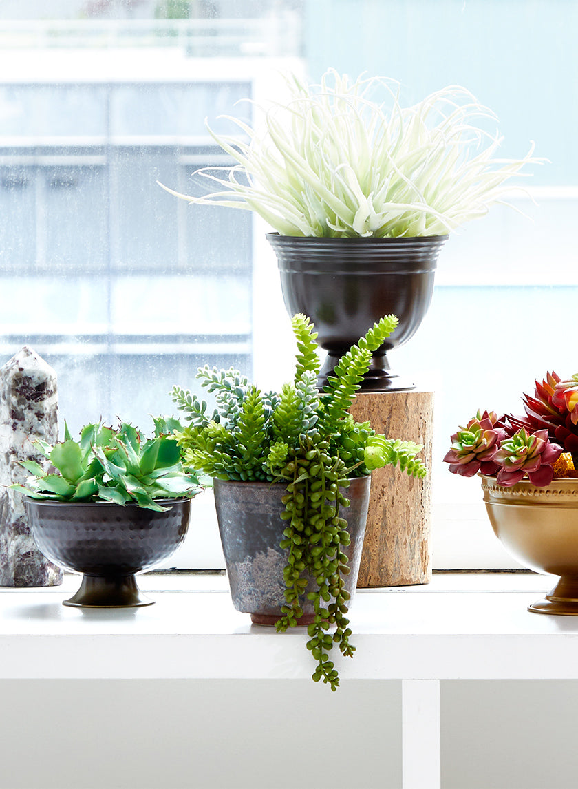 5 1/2in Long Star Cactus Pick Decor Jamali-garden