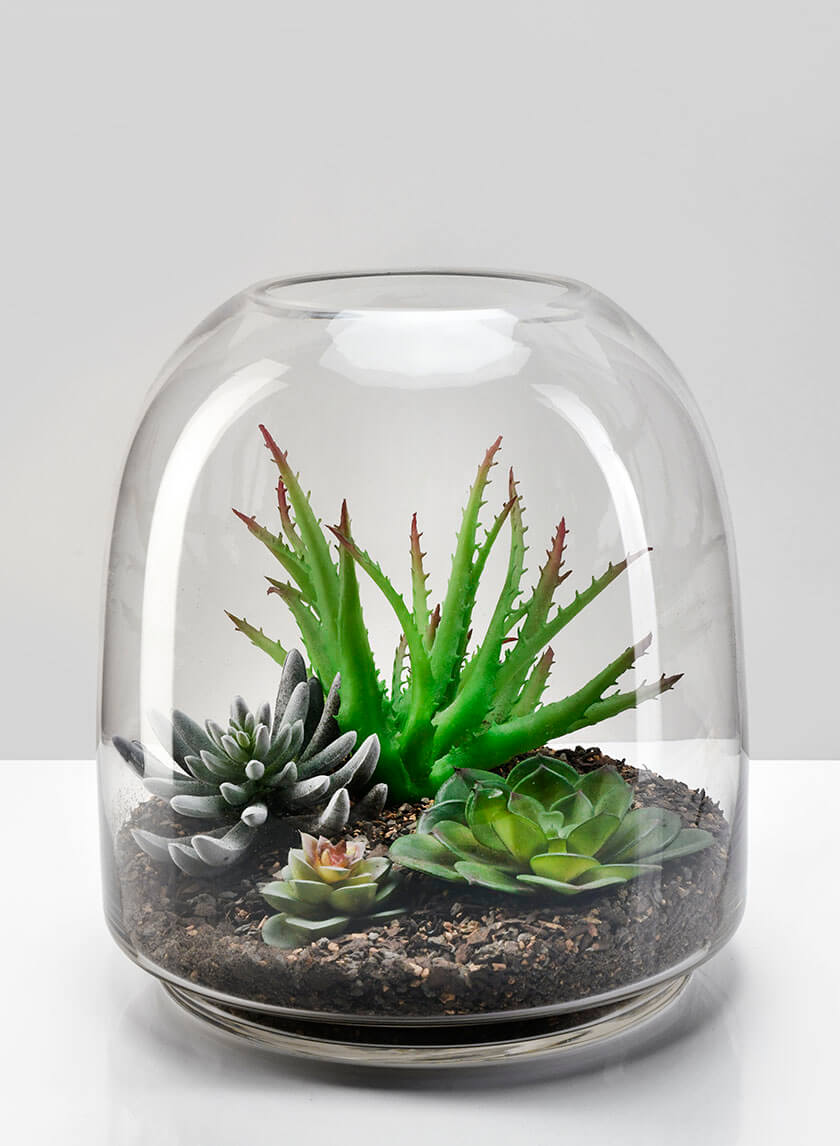 Large Victoria Glass Terrarium Decor Jamali-garden