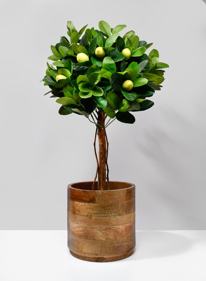 Salma Wood Cachepot Decor Jamali-garden 8.5in Tall EACH