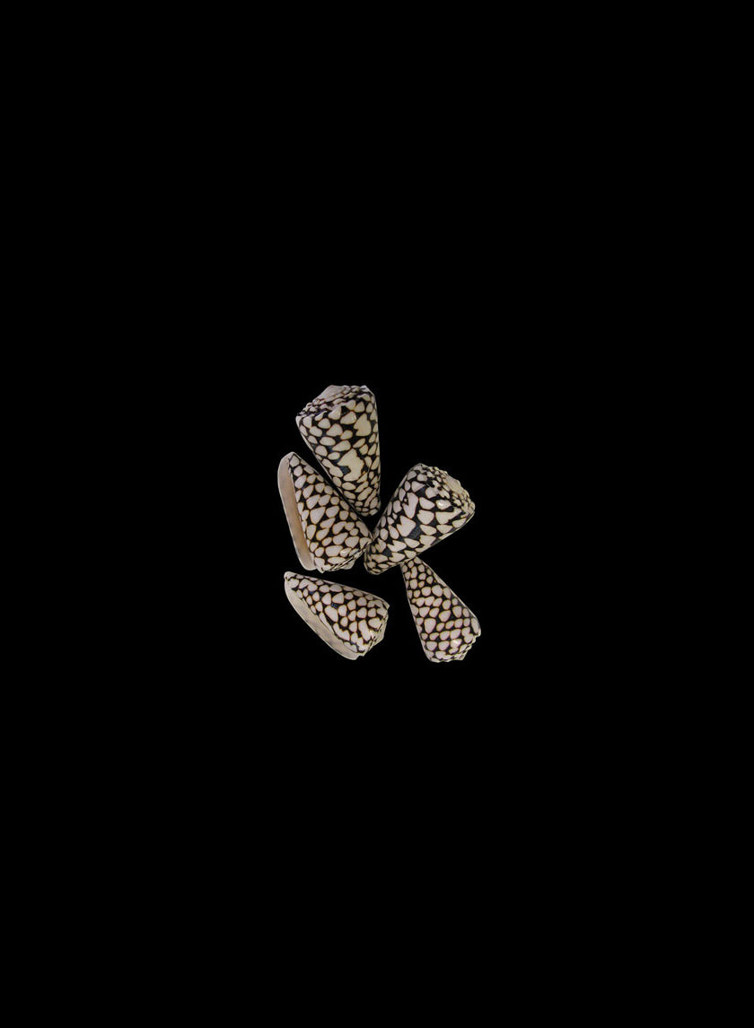 2in Marble Cones Decor Jamali-garden