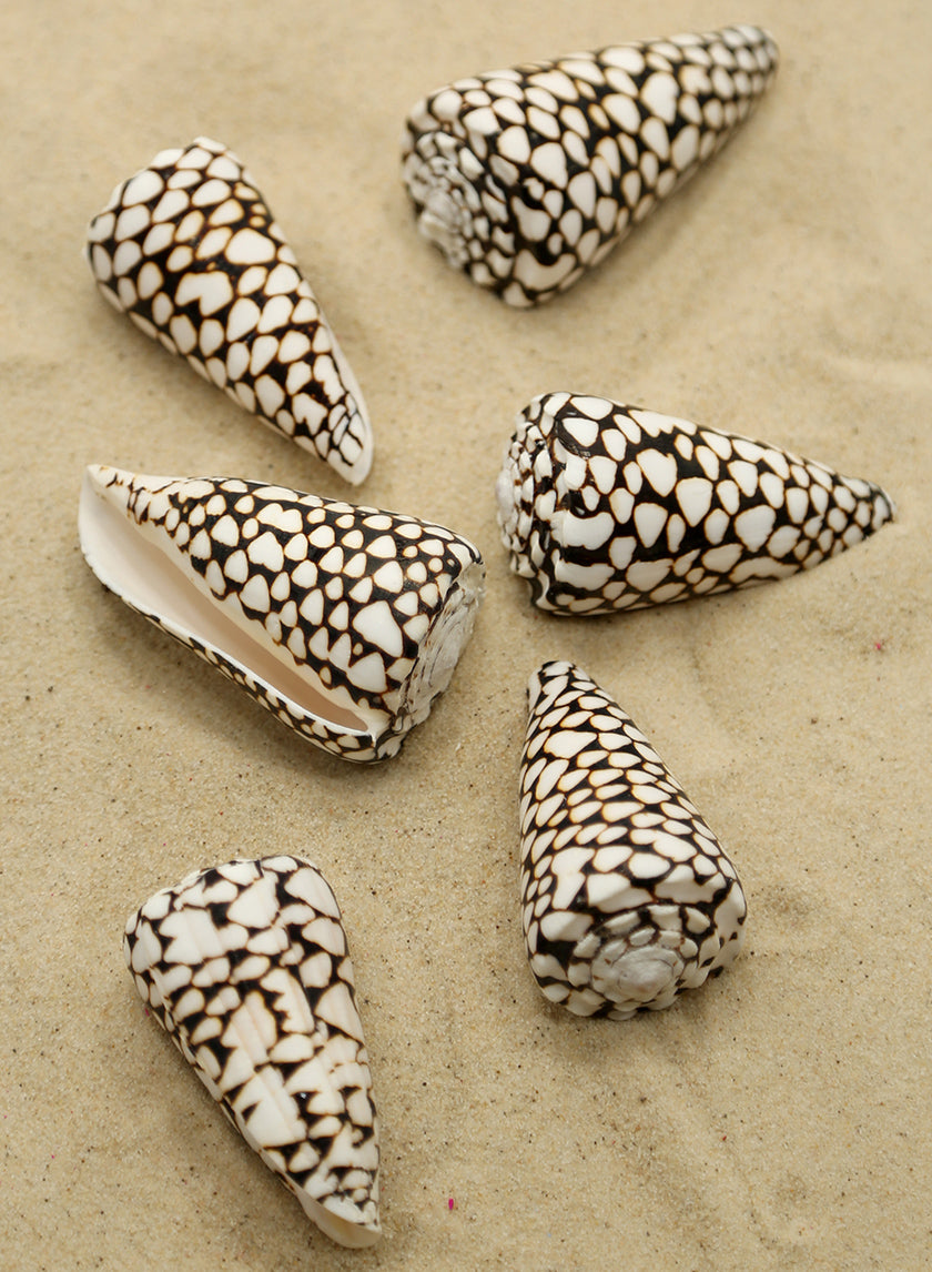 2in Marble Cones Decor Jamali-garden