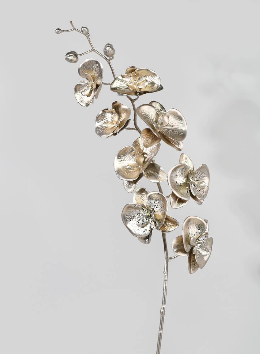 Metallc Champagne Phalaenopsis Orchid Stem Decor Jamali-garden