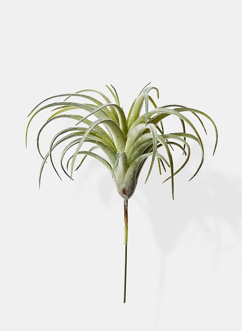 7in Long Frosted Tillandsia Decor Jamali-garden