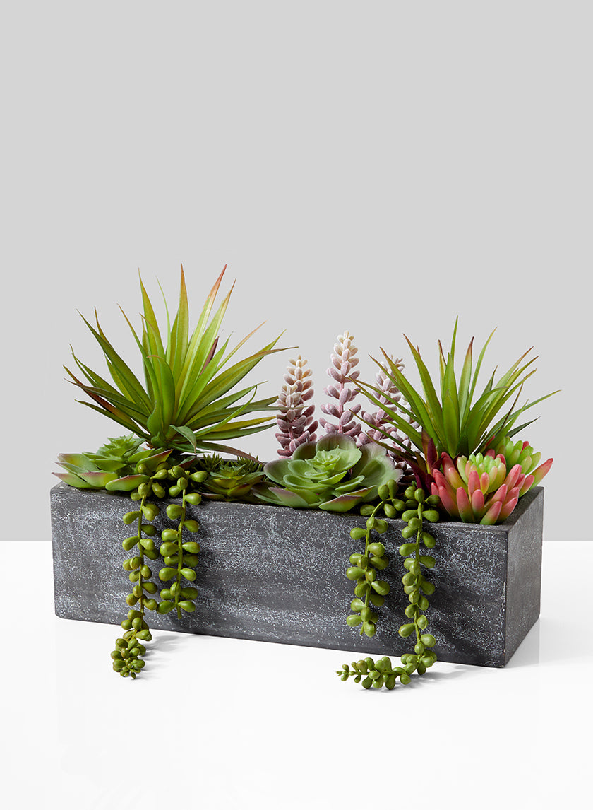 12in Long Rectangular Planter with Mixed Succulents Decor Jamali-garden
