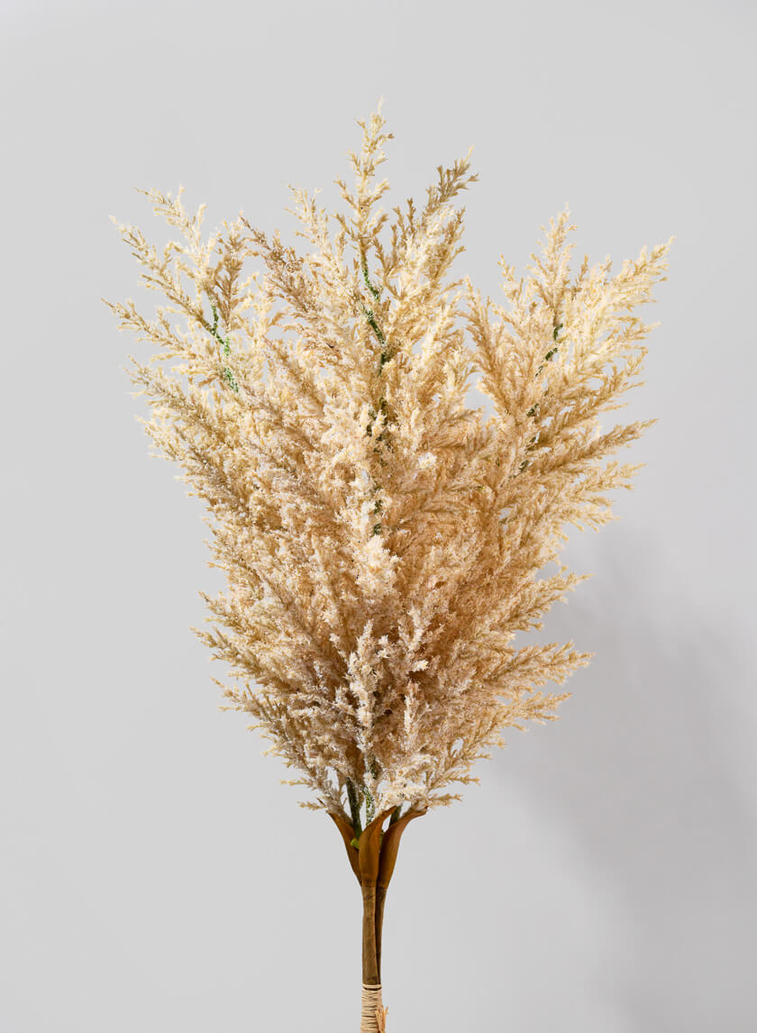 35in Long Natural Pampas Grass Reeds Decor Jamali-garden