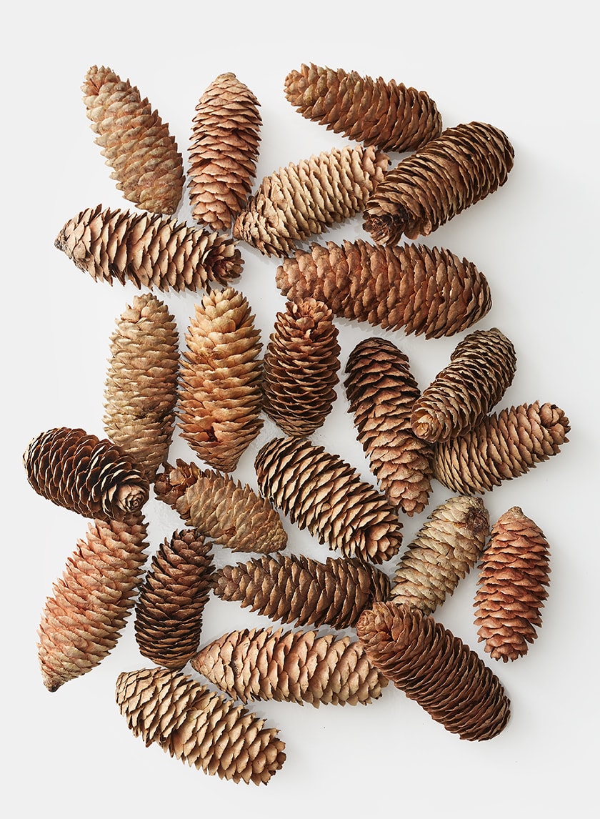 3.5in / 4in Long Natural Pine Cones Decor Jamali-garden