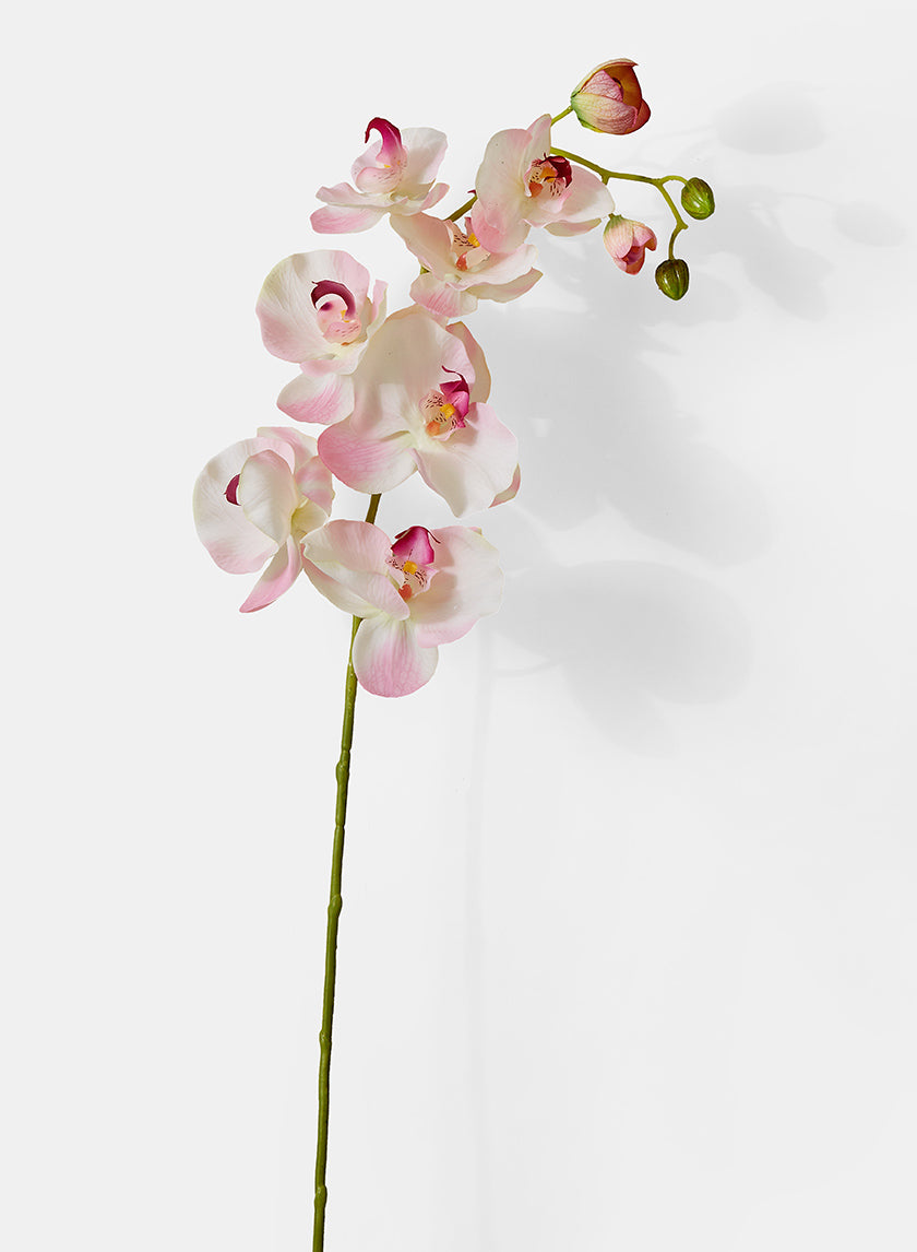 43in Long Light Pink Phalaenopsis Orchid Spray Decor Jamali-garden
