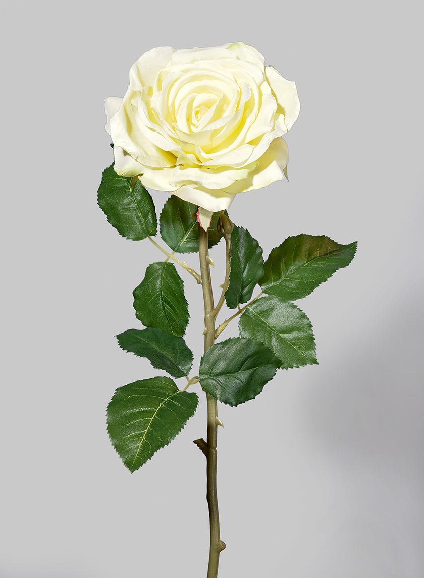 29in Long Pale Yellow Cabbage Rose Decor Jamali-garden