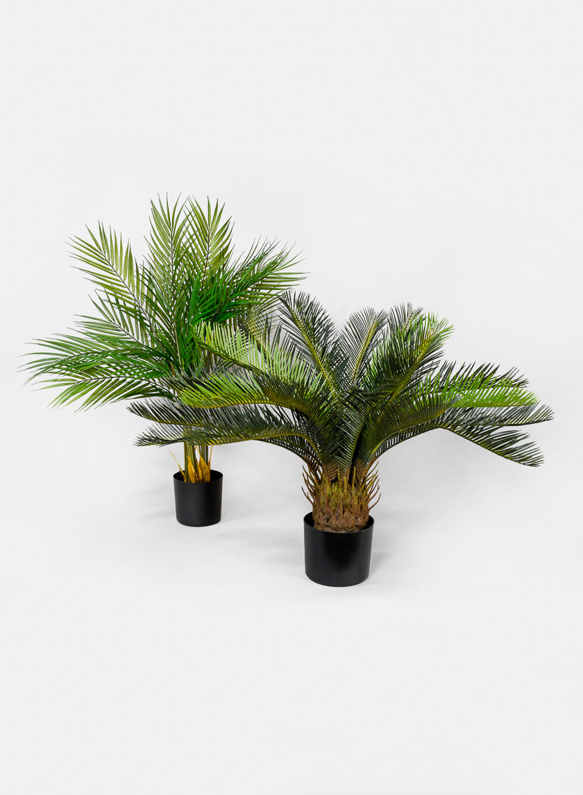 28in Tall Hawaii Kwai Palm Tree Decor Jamali-garden