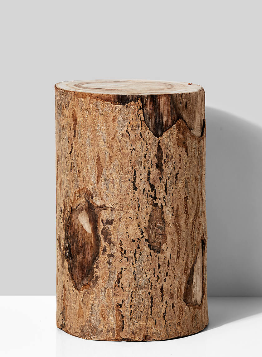 12in Tall Paulownia Wood Tree Trunk Vase Decor Jamali-garden