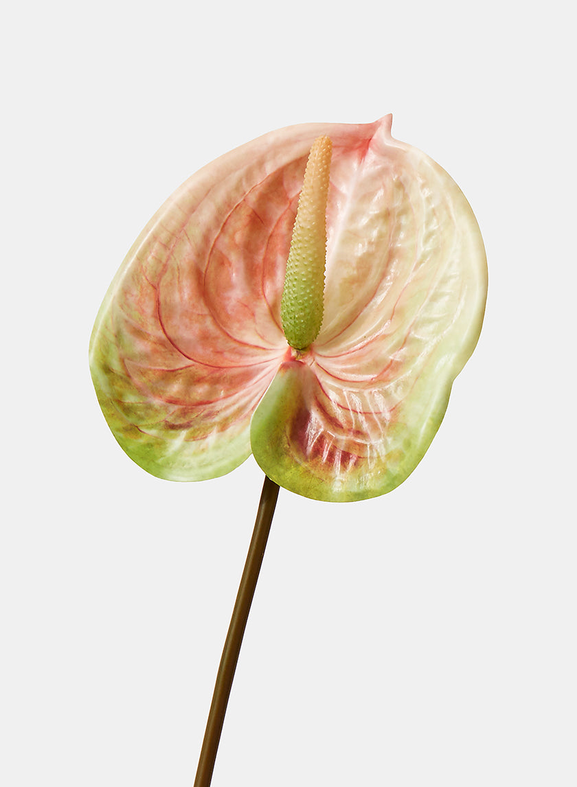 22in Long Peach &amp; Green Anthurium Spray Decor Jamali-garden