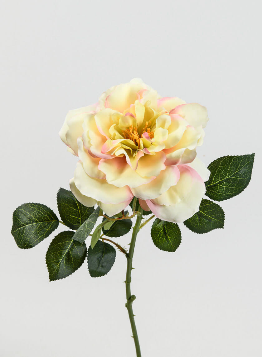 24.5in Long Pink &amp; Cream Provence Rose Spray Decor Jamali-garden