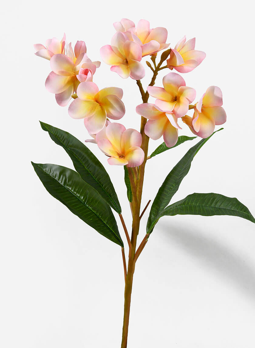 35in Long Pink Frangipani Spray Decor Jamali-garden